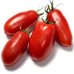 Lycopersicon lycopersicum 'San Marzano'